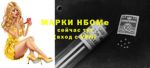 ГАЛЛЮЦИНОГЕННЫЕ ГРИБЫ Каменка