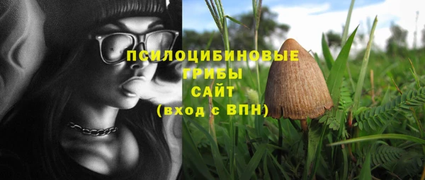 мяу мяу мука Карпинск