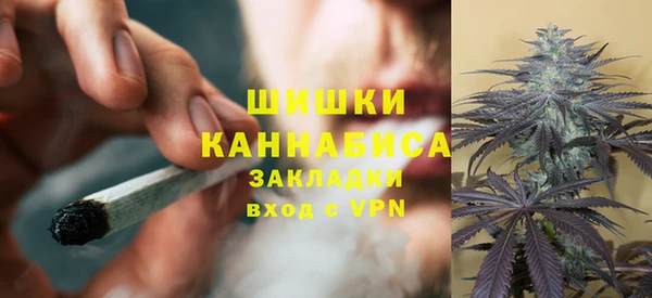 ГАЛЛЮЦИНОГЕННЫЕ ГРИБЫ Каменка