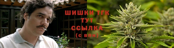 мяу мяу мука Карпинск