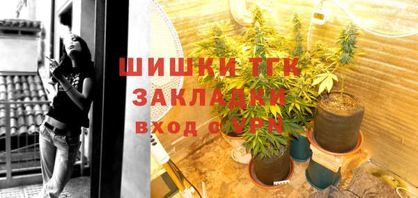 ГАЛЛЮЦИНОГЕННЫЕ ГРИБЫ Каменка