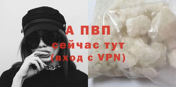 ГАЛЛЮЦИНОГЕННЫЕ ГРИБЫ Каменка