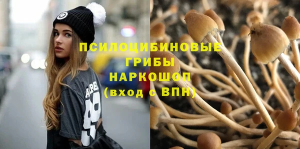 мяу мяу мука Карпинск