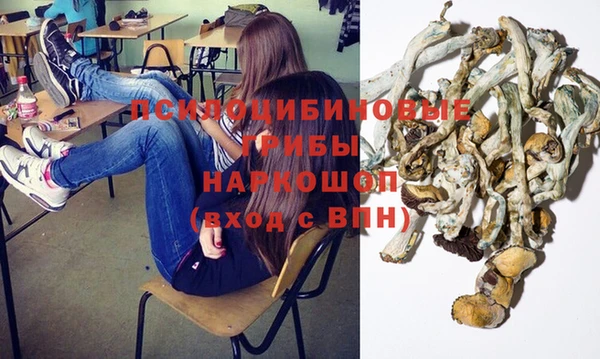 спиды Касимов