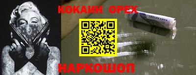 apvp Кингисепп