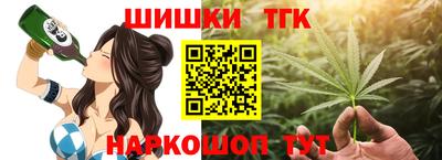 apvp Кингисепп