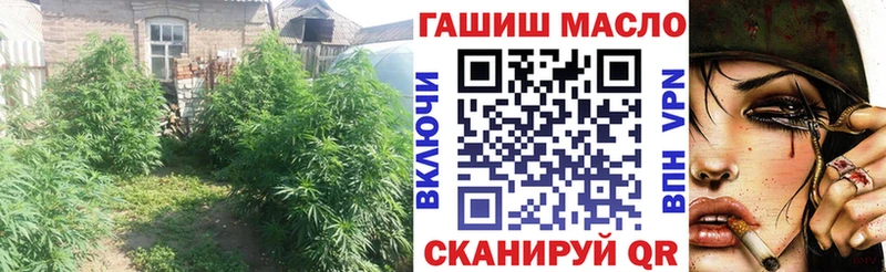 блэк спрут зеркало  Майский  ТГК THC oil 