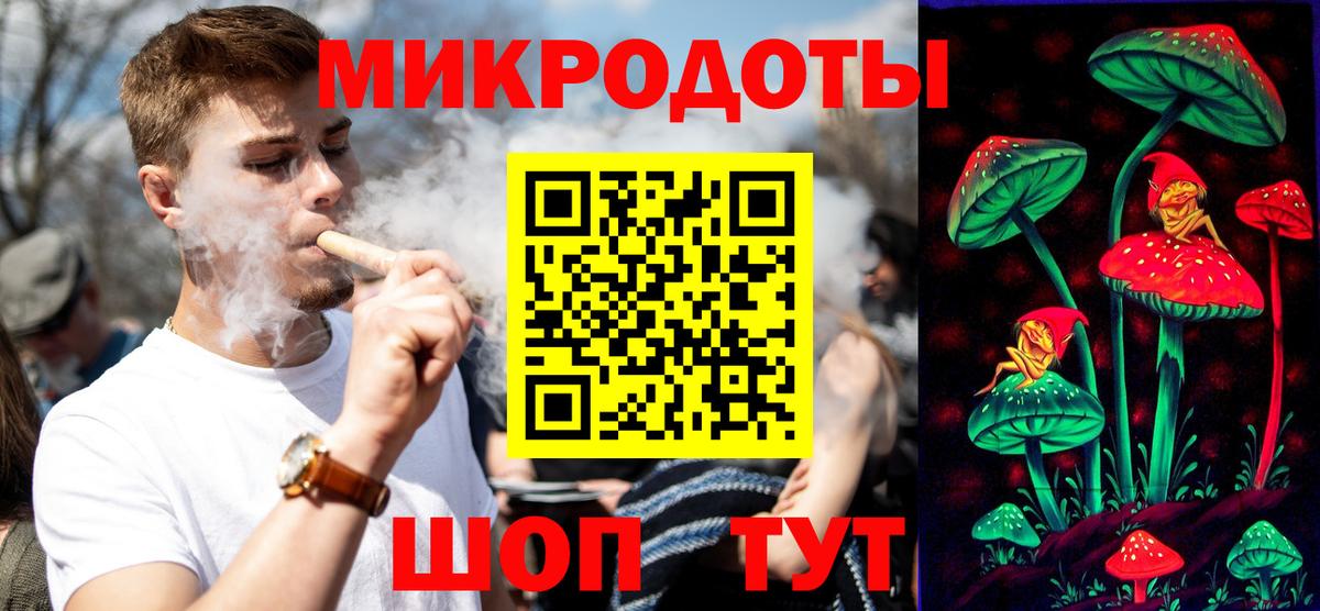 Псилоцибиновые грибы Psilocybine cubensis Майский