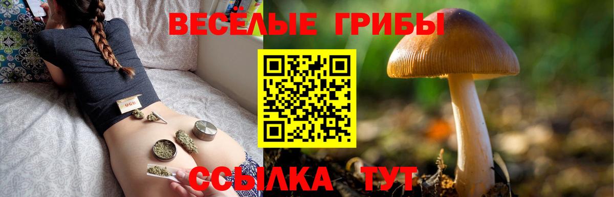 Майский  Галлюциногенные грибы Magic Shrooms  Вход с VPN 